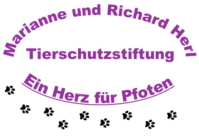 stiftung